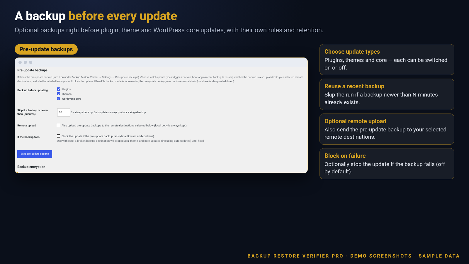 Screenshot of pre-update backup options with plugins, themes and core selected and a 10-minute skip window