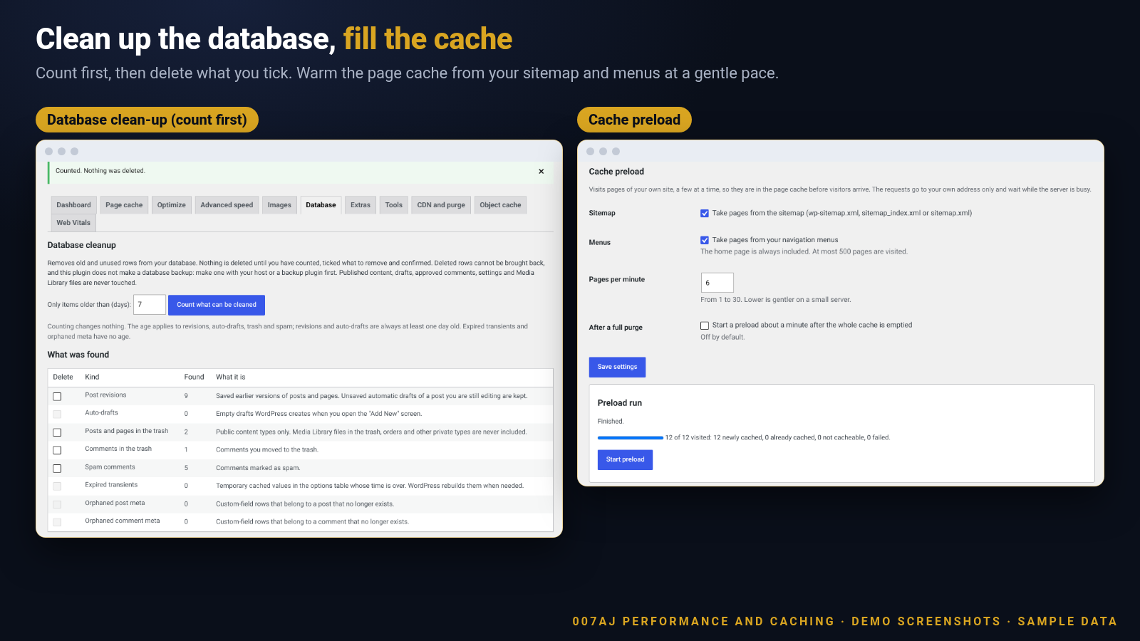 Screenshot of the database clean-up counts and the cache preload settings and run